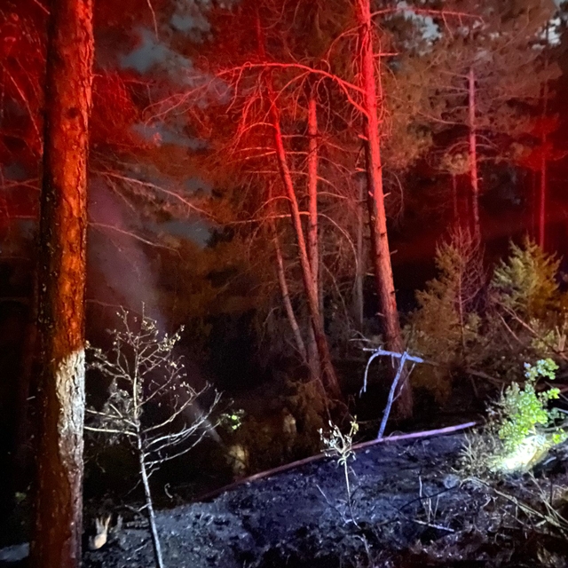 Orhaneli'de yıldırım düşmesi sonucu çıkan orman yangını söndürüldü