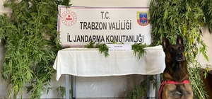 Trabzon'daki uyuşturucu operasyonunda 1 şüpheli gözaltına alındı