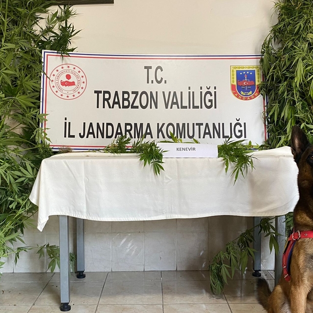 Trabzon'daki uyuşturucu operasyonunda 1 şüpheli gözaltına alındı