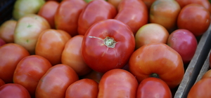 Bingöl'ün "guldar domatesi" coğrafi işaretle tescillendi