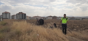 Çorum'da devrilen otomobilin sürücüsü yaralandı