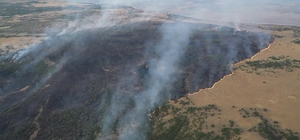 Elazığ'da ormanlık alanda çıkan yangın kontrol altına alındı