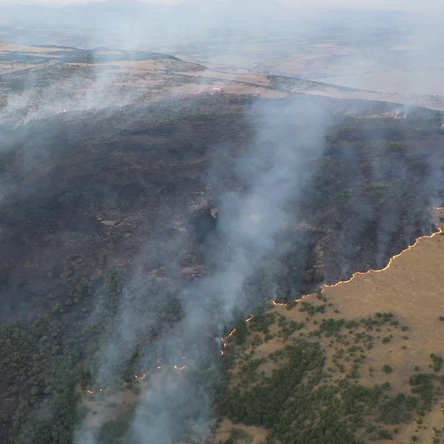 Elazığ'da ormanlık alanda çıkan yangın kontrol altına alındı