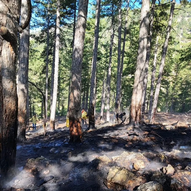 Adana'da çıkan orman yangını kontrol altına alındı