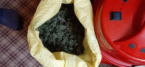 Artvin'de uyuşturucu operasyonunda 1 kişi tutuklandı