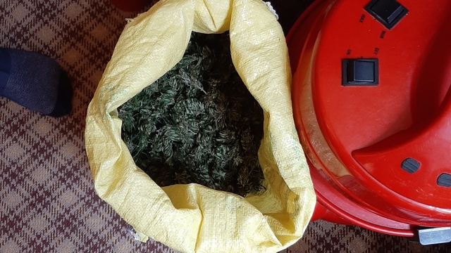 Artvin'de uyuşturucu operasyonunda 1 kişi tutuklandı