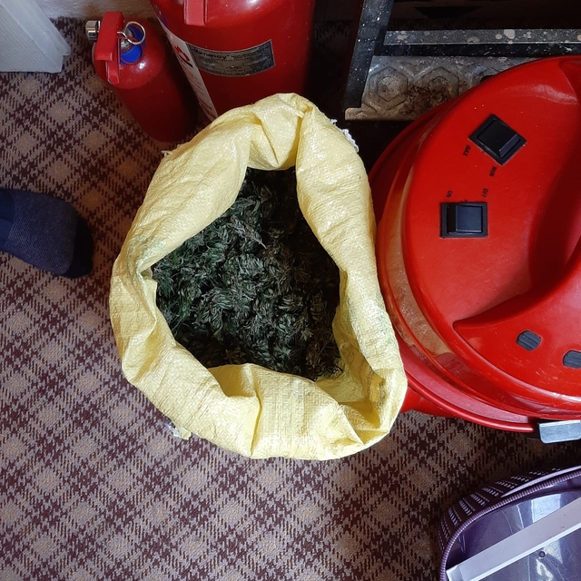 Artvin'de uyuşturucu operasyonunda 1 kişi tutuklandı