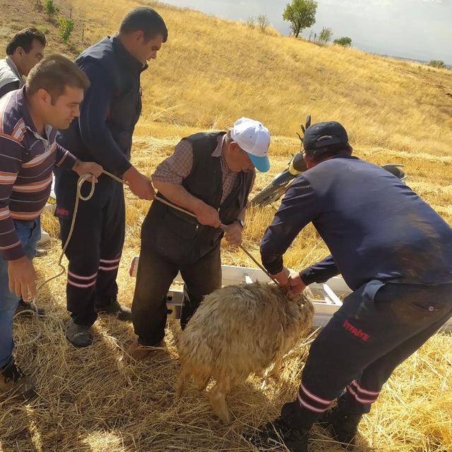 Hüyük'te kuyuya düşen koyun itfaiye ekiplerince kurtarıldı