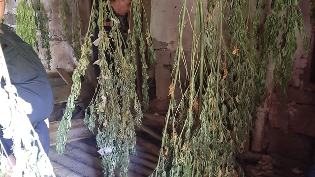 Artvin'de uyuşturucu operasyonunda bir kişi tutuklandı