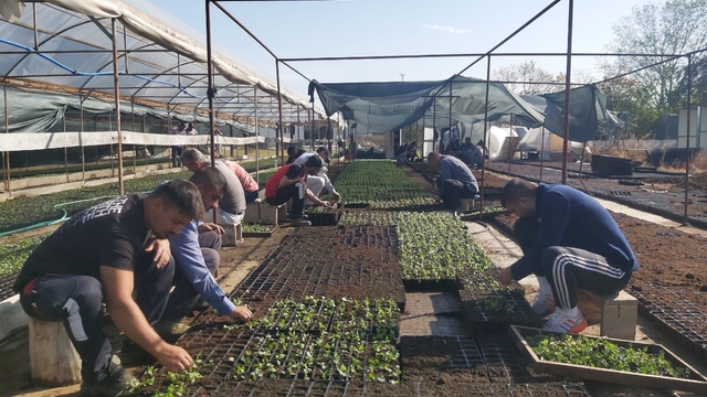 Edirne'den kısa kısa