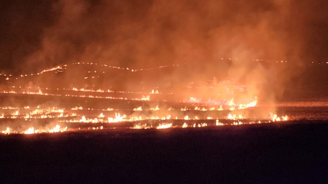 Siirt'te çıkan anız yangını sündürüldü