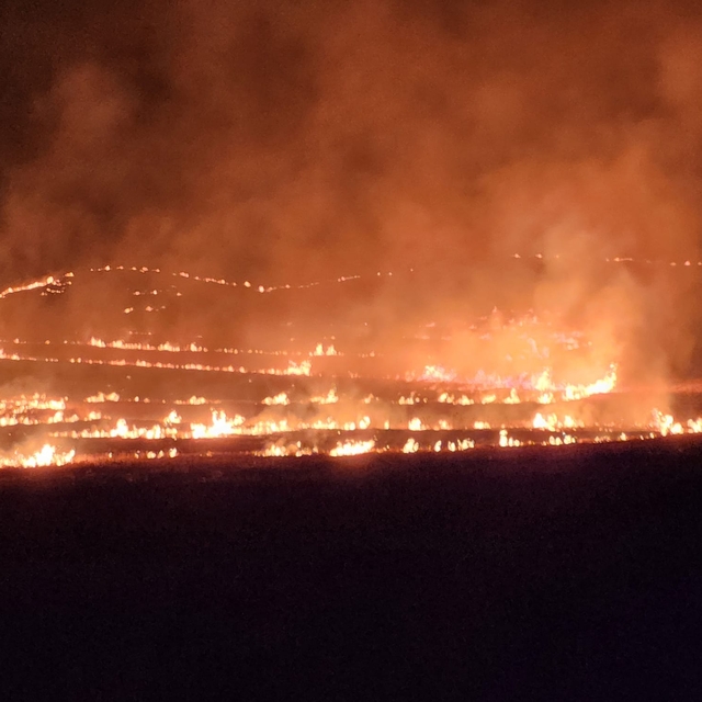 Siirt'te çıkan anız yangını sündürüldü