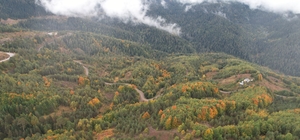 Ormanlarıyla öne çıkan Kastamonu sonbahar renklerine bürünmeye başladı