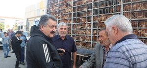 Cihanbeyli Belediyesi ilçedeki 800 aileye kümes hayvanı dağıttı