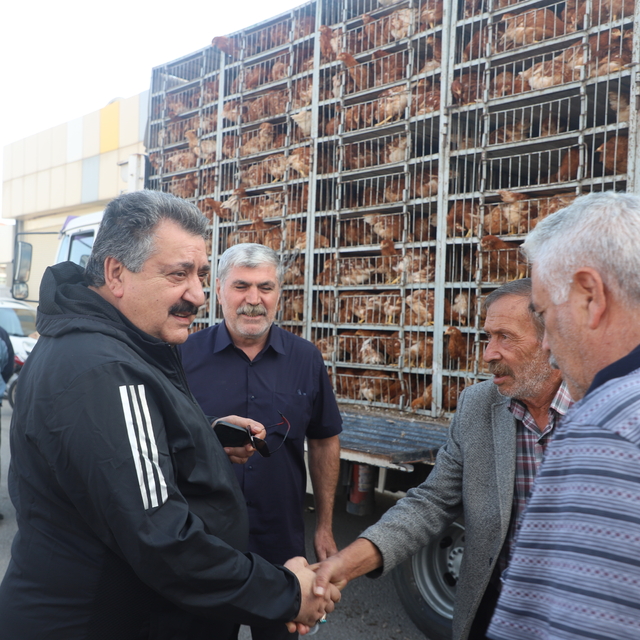 Cihanbeyli Belediyesi ilçedeki 800 aileye kümes hayvanı dağıttı