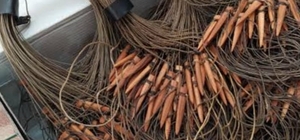 Sivas'ta tuzakla keklik yakalayan 2 kişiye 39 bin 492 lira ceza uygulandı