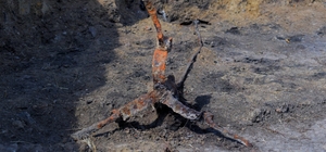 Satala Antik Kenti´ndeki kazılarda yeni bir kale kalıntısına ulaşıldı