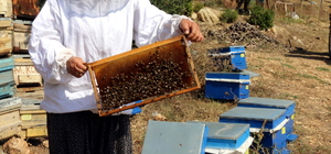 Adana'da kadın arıcıya malzeme desteği