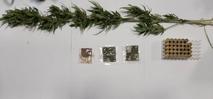 Trabzon'daki uyuşturucu operasyonunda 4 kişi gözaltına alındı