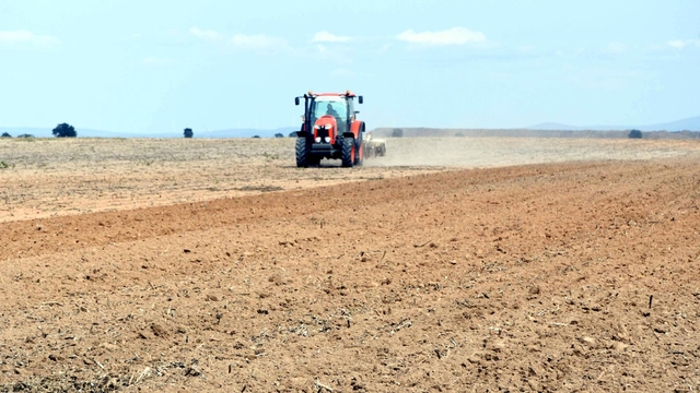  Birinci sınıf tarım arazisine plastik OSB kurulmasına mahkeme izin vermedi