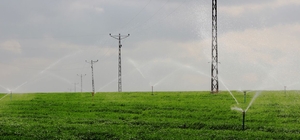 DEPSAŞ Enerji'den, Mardin'deki tarımsal sulama abonelerine borç uyarısı 