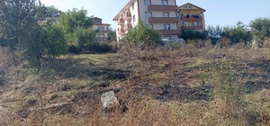 Yeniçağa'da çıkan ot yangını büyümeden söndürüldü