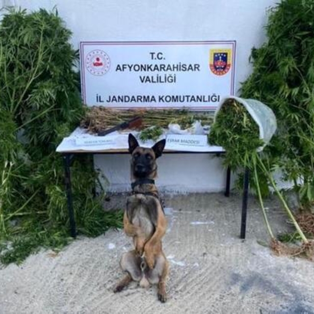 Afyonkarahisar'dan kısa kısa