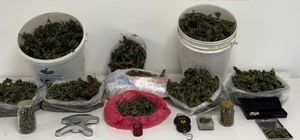 Sakarya'da uyuşturucu ve kaçakçılık operasyonlarında 1 kişi tutuklandı, 5 kişi gözaltına alındı