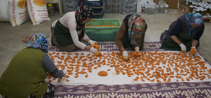 Uşaklı kadınların tarhana imecesi girişim hikayesine dönüştü