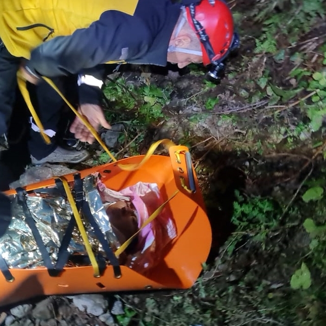 Artvin'de uçuruma yuvarlanan kamyonetteki 3 kişi yaralandı