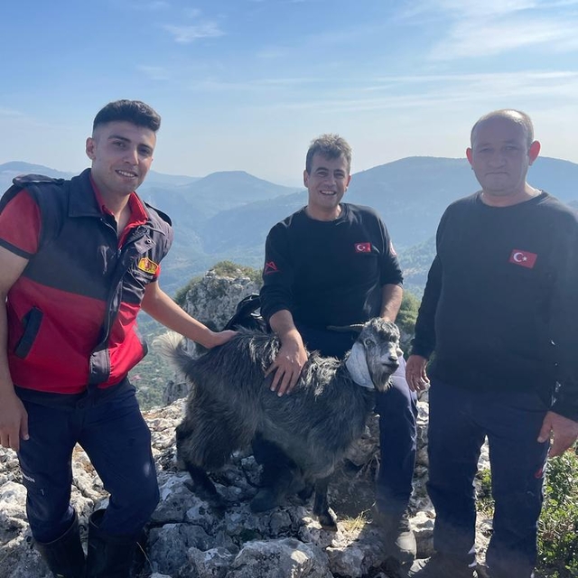 Mersin'de dağlık alanda kaybolan keçiyi itfaiye buldu