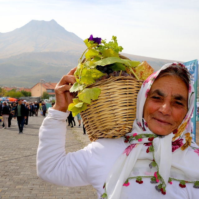 Aksaray'da "2. Bağ Bozumu ve Pekmez Festivali" yapıldı