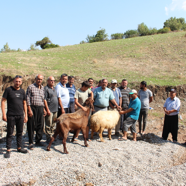 Hatay'da su sorunu giderilen depremzedeler mevlit okuttu
