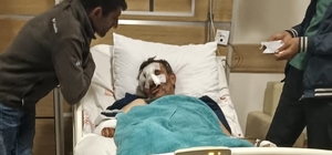 Kars'ta ayı saldırısına uğrayan kişi ağır yaralandı