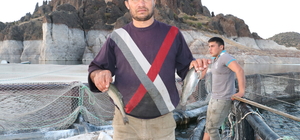 Çekerek Barajı'nda balıkçılık çiftçilerin geçim kaynağı oldu