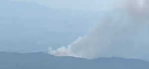 İzmir'de çıkan orman yangınına müdahale ediliyor