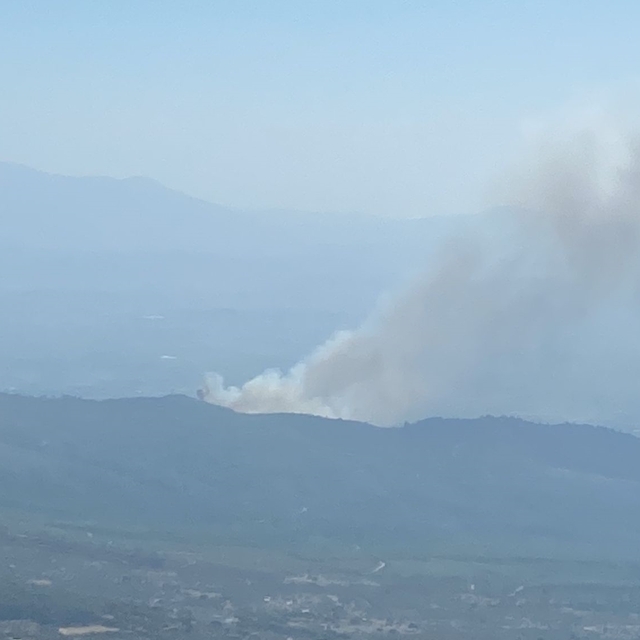 İzmir'de çıkan orman yangınına müdahale ediliyor