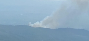 İzmir'de orman yangını