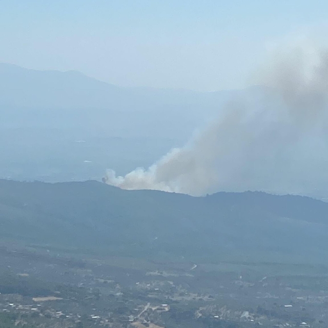 İzmir'de orman yangını