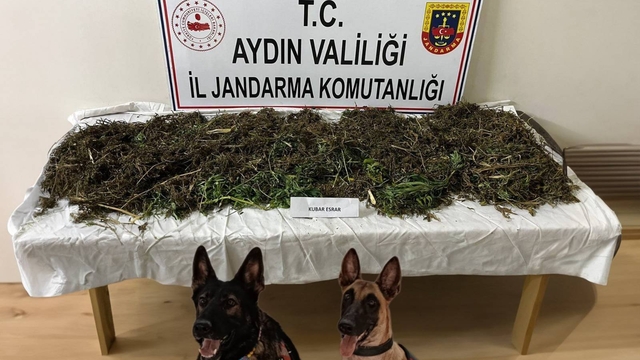 Aydın'da uyuşturucuyla yakalanan 2 şüpheli tutuklandı