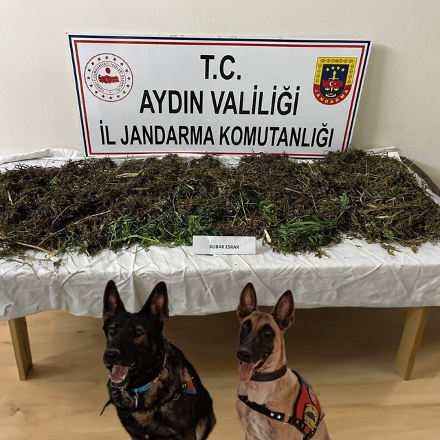 Aydın'da uyuşturucuyla yakalanan 2 şüpheli tutuklandı