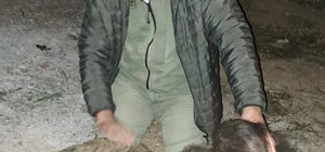 Çanakkale'de tırın çarptığı ayının ölümüne üzülen ormancı sosyal medyada ilgi odağı oldu 