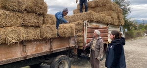 Karabük'te yangınlarda zarar gören çiftçilere saman desteği