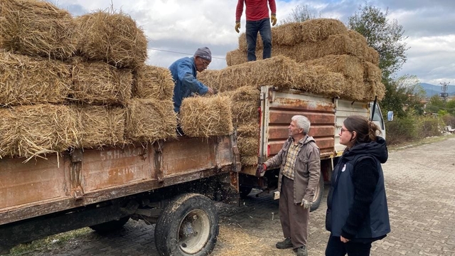 Karabük'te yangınlarda zarar gören çiftçilere saman desteği