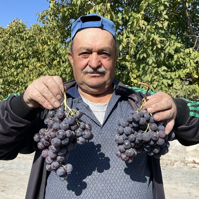 Tescilli İncesu üzümü pekmeze dönüştürülüyor