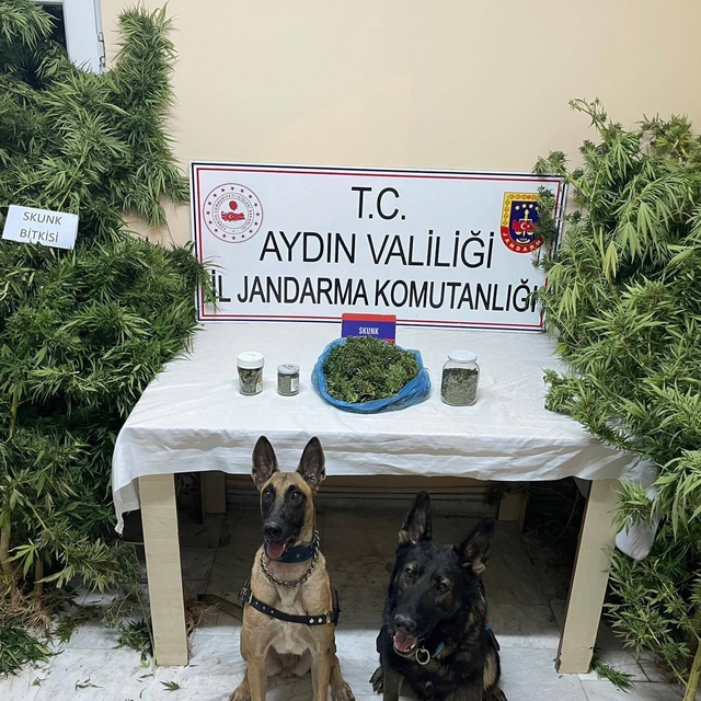 Aydın'daki uyuşturucu operasyonunda 1 kişi gözaltına alındı