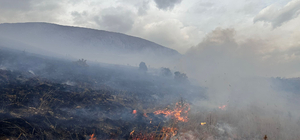 Bayburt'ta dağlık alandaki örtü yangını söndürüldü