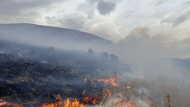 Bayburt'ta dağlık alandaki örtü yangını söndürüldü