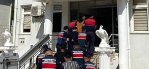 Gazipaşa'da avokado hırsızlığı şüphelisi 4 kişi yakalandı