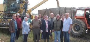 Coğrafi işaretli Konuralp pirincinin hasadı sürüyor